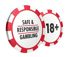 Responsible-Gambling lemon-casin0.site